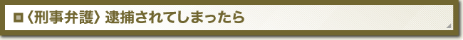 刑事弁護／逮捕されてしまったら